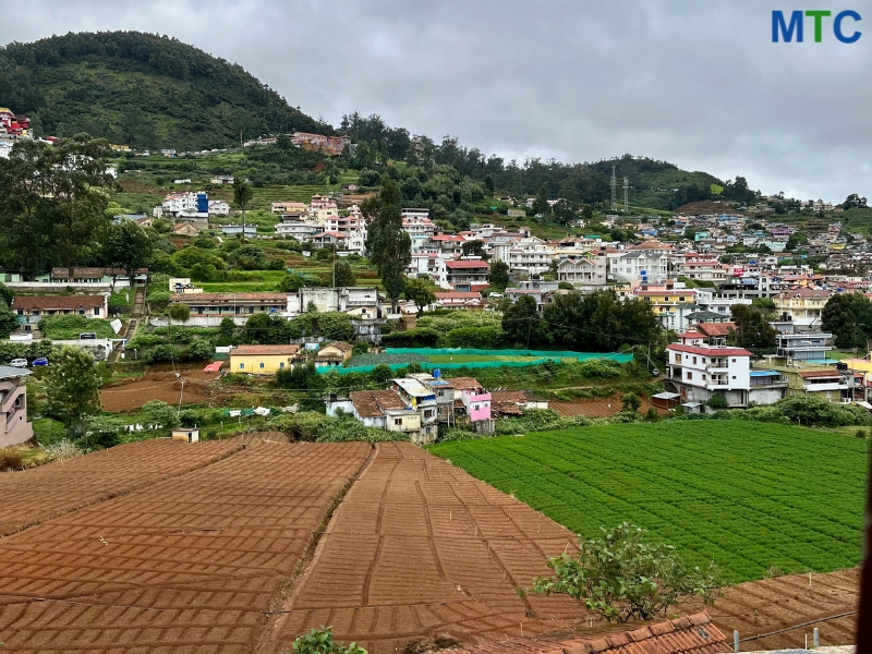 Ooty