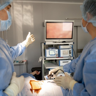 surgeon showing his colleague the endoscopic video during the endoscopic surgical procedure