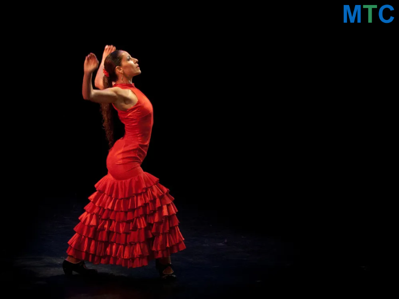 Spanish Flamenco Dancer