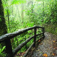 Manuel-Antonio-National-Park