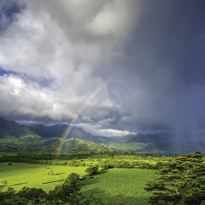 Mesmerizing monsoon in India