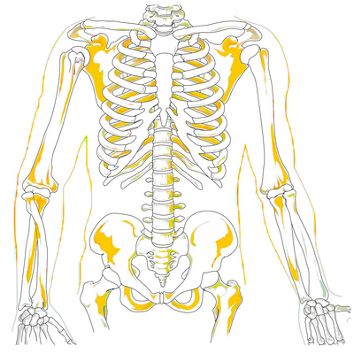 Spine Fracture