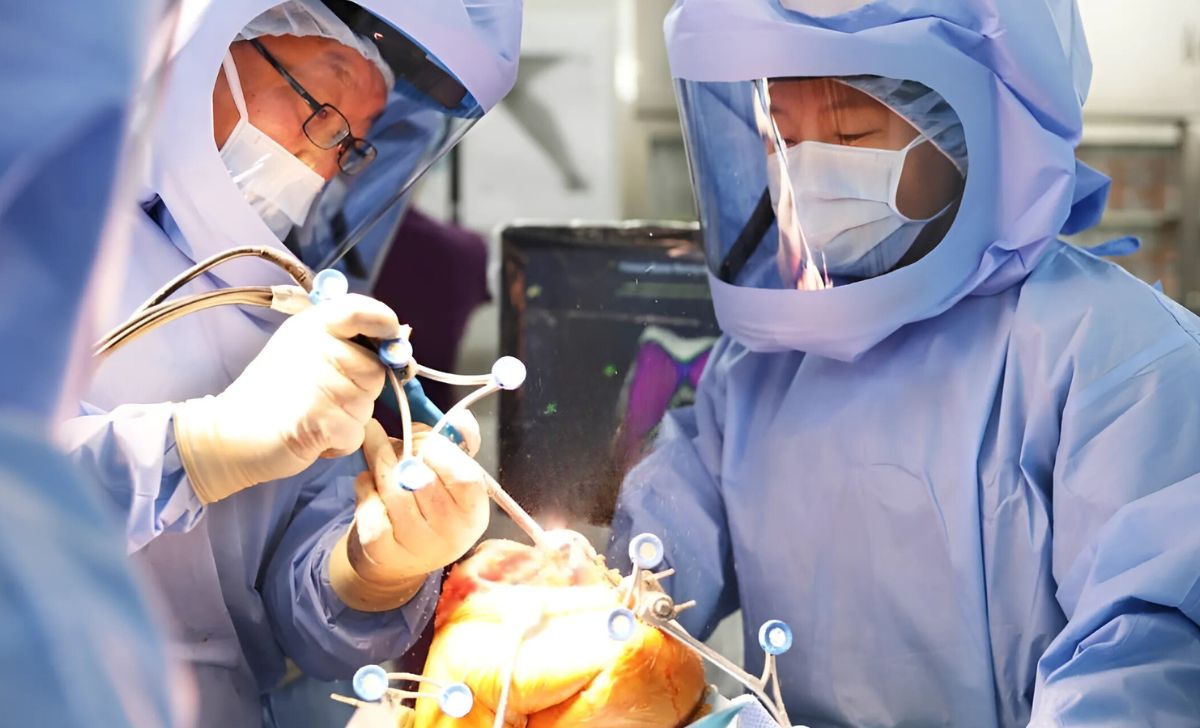 Knee Replacement in South Korea: A Guide to Cost & Hospitals