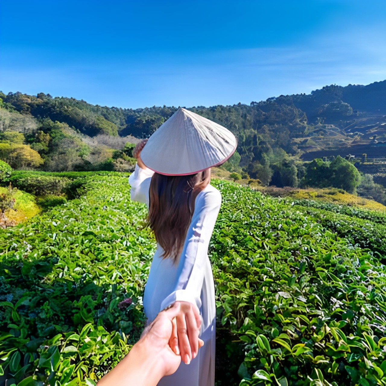 lady standing in a tea plantation 