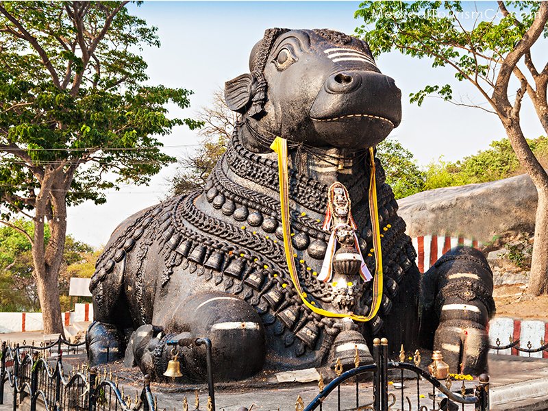 Nandi Temple, Bengaluru India