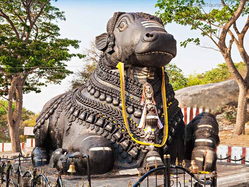 Nandi Temple | Dental Tourism in India