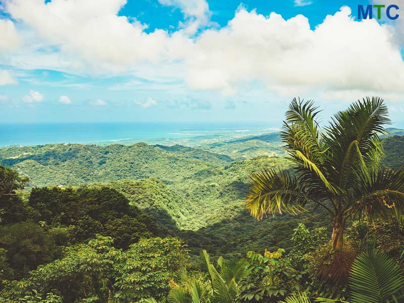 Vista panorámica en Puerto Rico