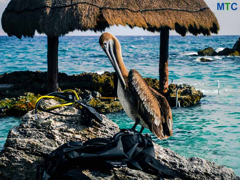 Cancun Resorts