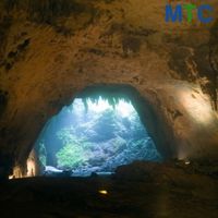 Cuevas del Río Camuy