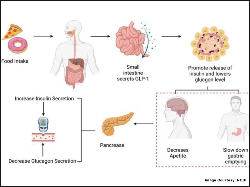 Tirzepatide: Mechanism of Action