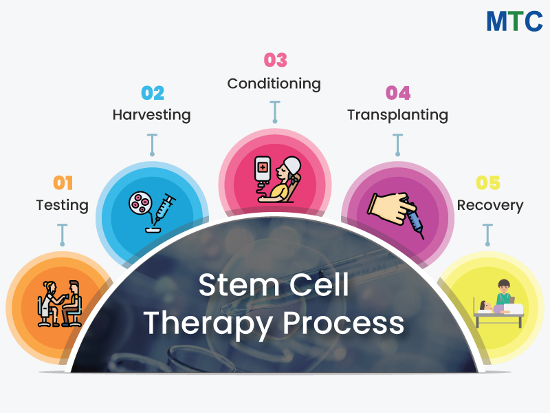 Stem Cell Therapy Process