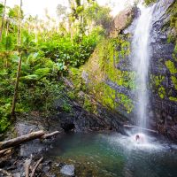 El Yunque National Forest 