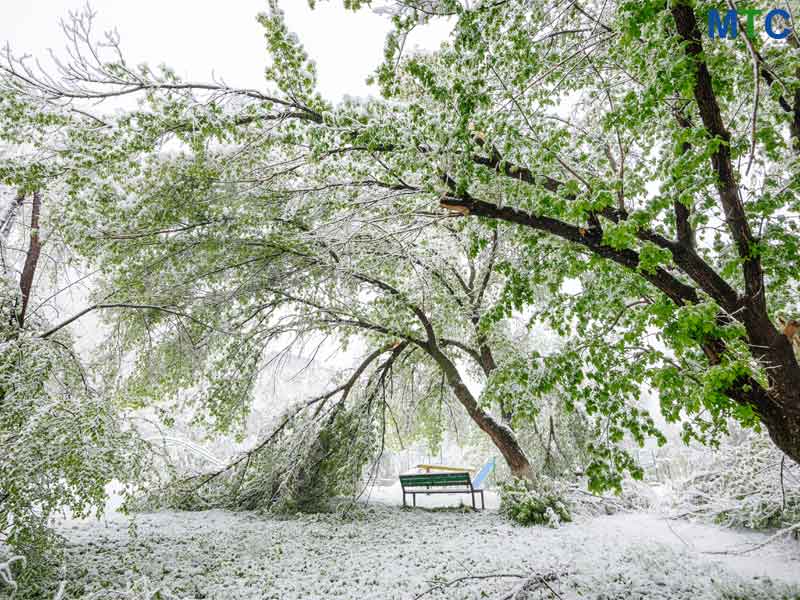 Chisinau in winter | Dental Tourism in Chisinau, Moldova