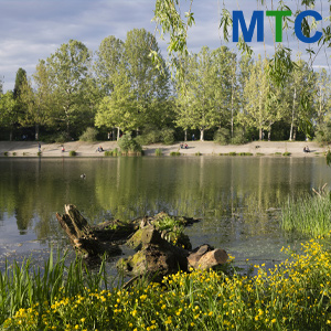 Park of Valea Trandafirilor | Dental tourism in Chisinau